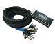 Elite Core PS12030 30' 12-Channel Stage Box Snake with no Returns